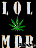 LOL MDR