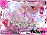 Have a Happy Spring to all my Blingee Friends