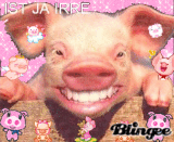 Schwein muss man haben