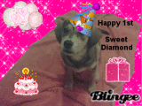 diamond birthday diamond birthday
