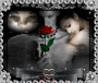 Entre dos Amores/ black and white Entre dos Amores/ black and white
