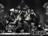 BLS Cheetah