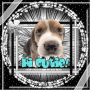 hi cute
