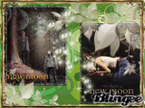 New Moon 6