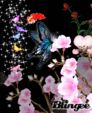 papillon
