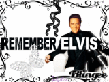 Remember Elvis Remember Elvis