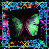 Psychedelic Butterfly