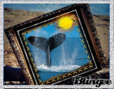 Humpback whale