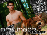 Taylor Lautner as Jacob Black