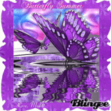 Butterfly Summer