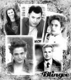 Twilight Guys