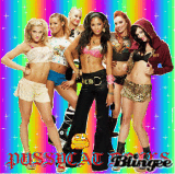 Pussycat Dolls