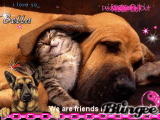 ¤We are friends no matter what!!¤ ¤We are friends no matter what!!¤