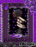 GOTHIC PASSIONS-BOOK OF POEMS AND SHORT STORIES! ! !(CAUTION SOME ARE EXPLICIT)
