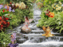 fairy forest