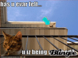 haz u ever felt... u iz being watchd?