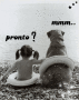 pronto?mmm... pronto?mmm...