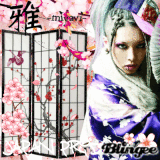 miyavi japan pride