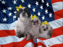 4TH