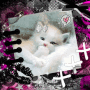 Qt widdle kitty!