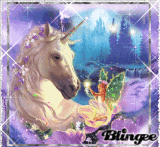 fairy & unicorn