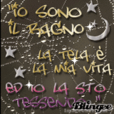 io sono il ragno..