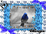 bird^^