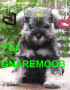 for gnaremoob