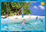 Sea Creatures - Fun In The Sun Sea Creatures - Fun In The Sun