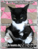 NAUGHTY KITTY..