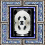 Save the Pandas