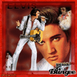 ELVIS 2