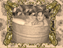 WASH BIN BABY