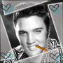 Elvis Elvis