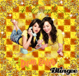 sel  y demi