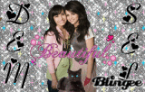 Dem & Sel