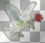 Glitter Dove Glitter Dove