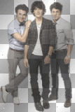 The Jonas Brothers <3