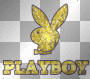 playboy AxDxN