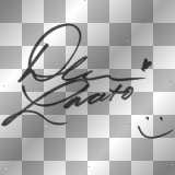 demi lovato signature