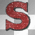 'S'