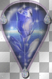 rose in teardrop