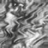 BG Black/White Summer Silky Wave@FI