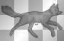 Wolf Running