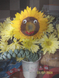 sunshine flower