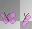 pink butterflys