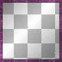 FRAME PurPle-PinK BlacK / SW