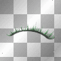 lash lash