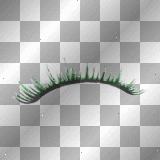 lash