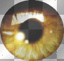 twilight's edwards' eye